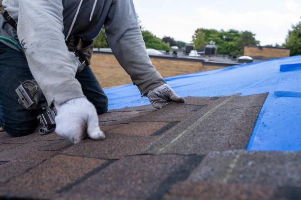 Best Gutter Installation and Roofing  in Abram, TX